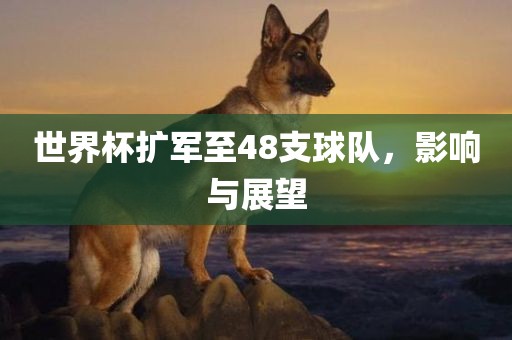 世界杯扩军至48支球队，影响与展望