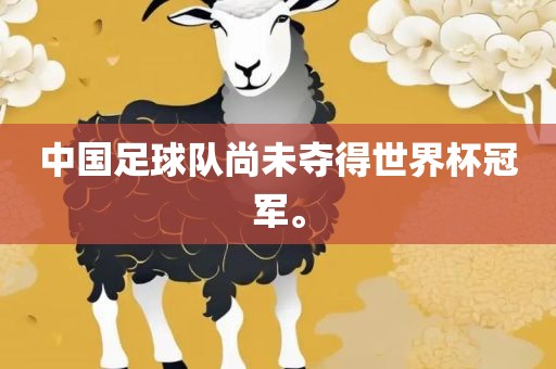 中国足球队尚未夺得世界杯冠军。