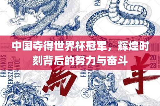 中国夺洛阳市法福文化传播有限公司得世界杯冠军，辉煌时刻背后的努力与奋斗