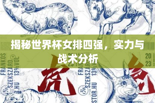 揭秘世界杯女排四强，实力与战术分析洛阳市法福文化传播有限公司