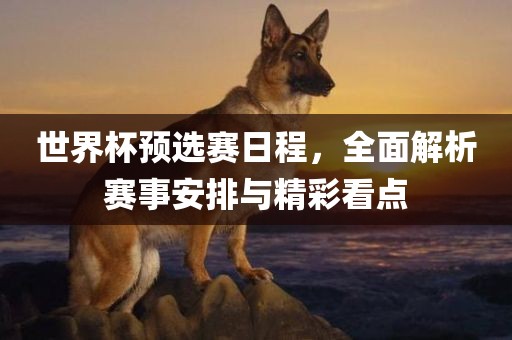 世界杯预选赛日程，全面解析赛事安排与精彩看点