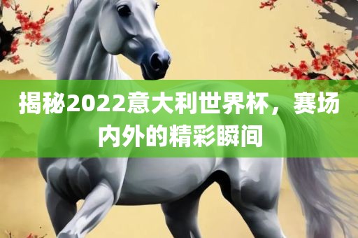 揭秘2022意大利世界杯，赛场内外的精彩瞬间洛阳市法福文化传播有限公司