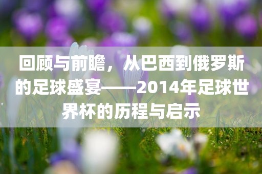 回顾与前瞻，从巴西到俄罗斯的足球盛宴——2014年足球世界杯的历程与启示