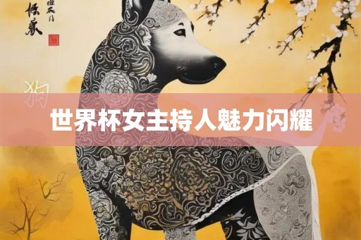 世界杯女主持人魅力闪耀
