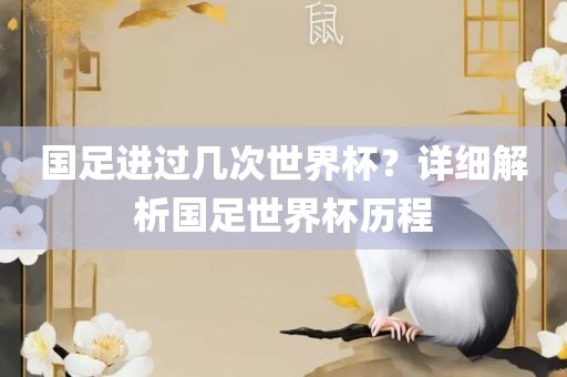 zhangyamei 第3页