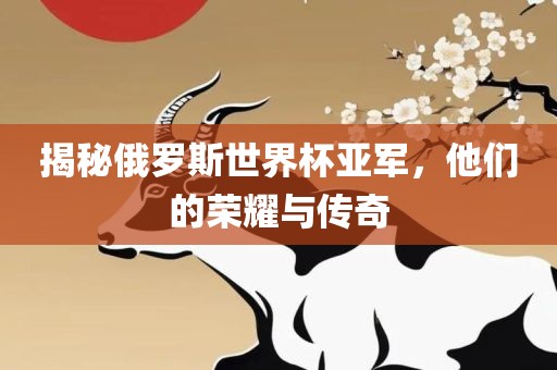 揭秘俄罗斯世界杯亚军，他们的荣耀与传奇