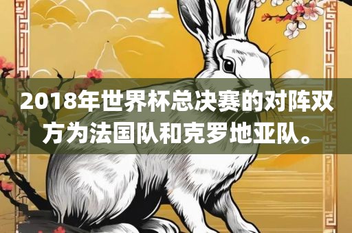 2018年世界杯总决赛的对阵双方为法国队和克罗地亚队。