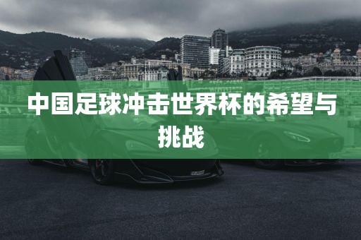 中国足球冲击世界杯的希洛阳市法福文化传播有限公司望与挑战