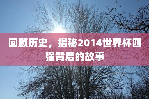 回顾历史，揭秘2014世界杯四强背后的故事
