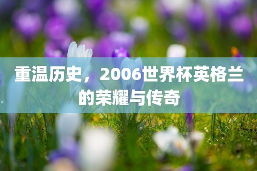 重温历史，2006世界杯英格兰的荣耀与传奇