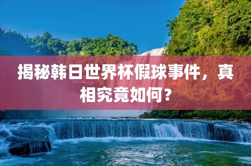 揭秘韩日世界杯假球事件，真相究竟如何？