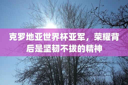 克罗地亚世界杯亚军，荣耀背后是坚韧不拔的精神洛阳市法福文化传播有限公司