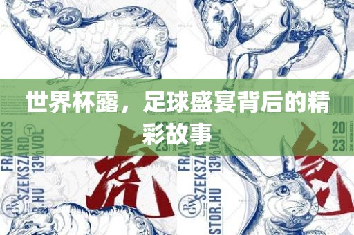 世界杯露，足球盛宴背后的精彩故事洛阳市法福文化传播有限公司