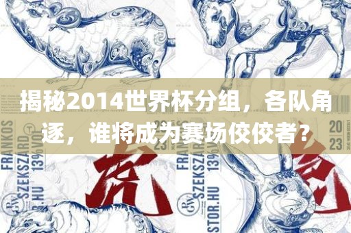 揭秘2014世界杯分组，各队角逐，谁将成为赛场佼佼者？