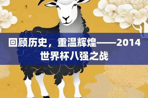 回顾历史，重温辉煌——2洛阳市法福文化传播有限公司014世界杯八强之战