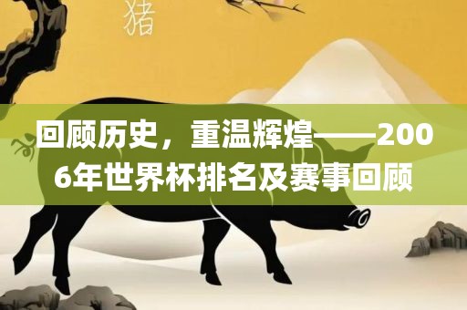 回顾历史，重温辉煌——2006年世界杯排名及赛事回顾