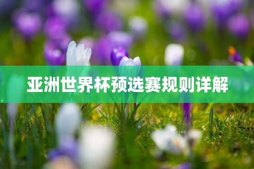 亚洲世界杯预选赛规则详解