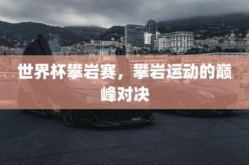 世界杯攀岩赛，攀岩运动的巅峰对决