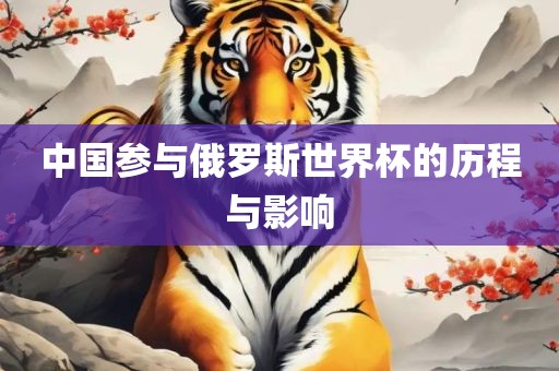 中国参与俄罗斯世界杯的历程与影响