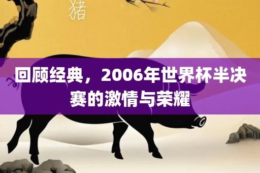 回顾经典，2006年世界杯半决赛的激情与荣耀
