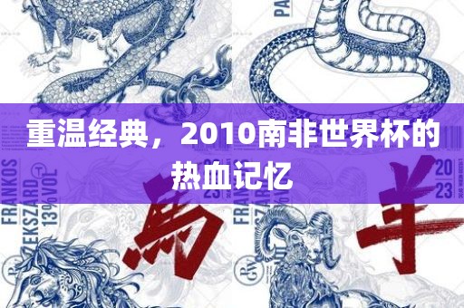 重温经典，2010南非世界杯的热血记忆