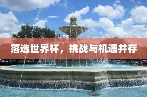 落选世界杯，挑战与机遇并存