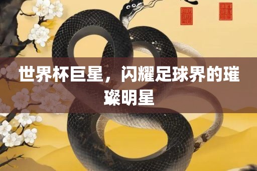 世界杯巨星，闪耀足球界的璀璨明星