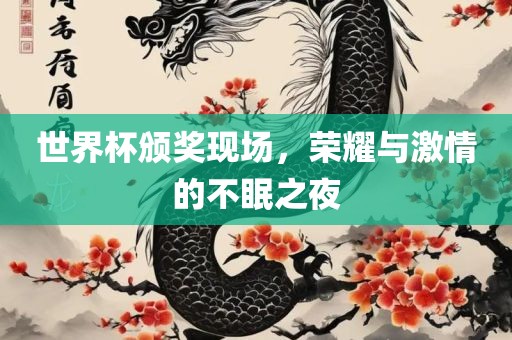 世界杯颁奖现场，荣耀与激情的不眠之夜洛阳市法福文化传播有限公司