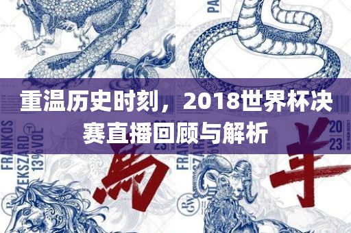 重温历史时刻，2018世界杯决赛直播回顾与解析洛阳市法福文化传播有限公司