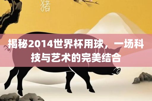 揭秘2014世界杯用球，一场科技与艺术的完美结合洛阳市法福文化传播有限公司