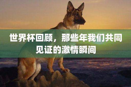 世界杯回顾