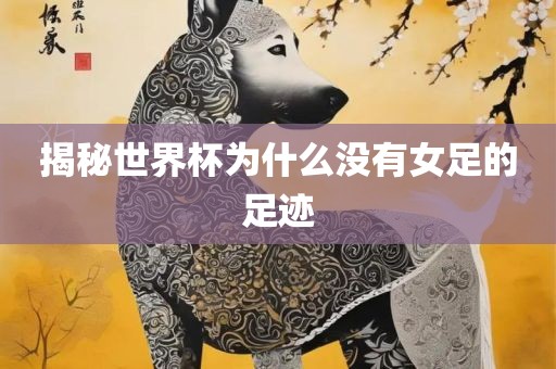 揭秘世界杯为什么没有女足的足迹洛阳市法福文化传播有限公司