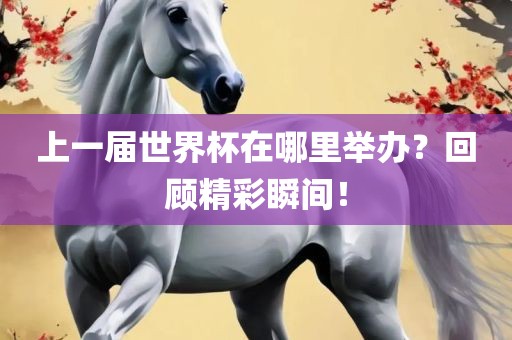上一届世界杯在哪里举办？回顾精彩瞬间！