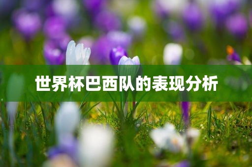 世界杯巴西队的表现分析