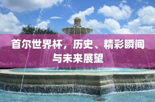 首尔世界杯，历史、精彩瞬间与未来展望