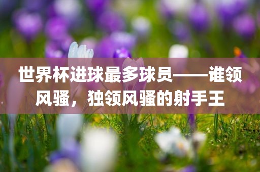 世界杯进球最多球员——谁领风骚，独领风骚的射手王