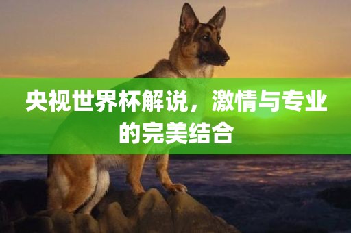 央视世界杯解说，激情洛阳市法福文化传播有限公司与专业的完美结合