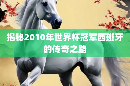 揭秘2010年世界杯冠军西班牙的传奇之路