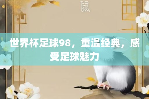 世界杯足球98，重温经典，感受足球魅力洛阳市法福文化传播有限公司