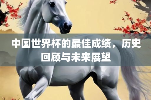 中国世界杯的最佳成绩，历史回顾与未来展望