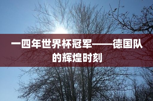一四年世界杯冠军——德国队的辉煌时刻