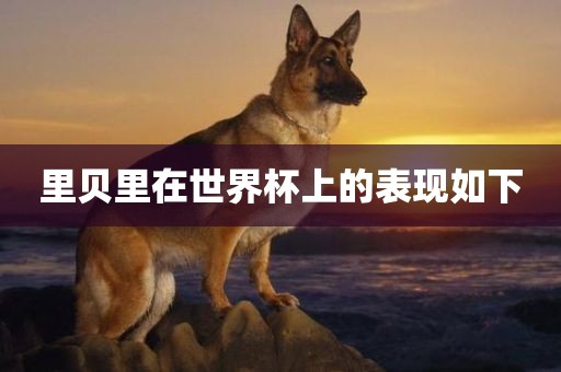 里贝里在世界杯上的表现如下