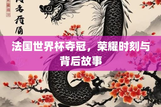 法国世界杯夺冠，荣耀时刻与背后故事