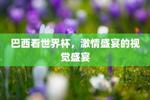 巴西看世界杯，激情盛宴的视觉盛宴