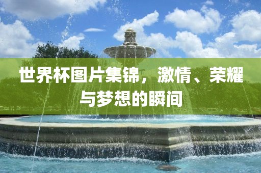 世界杯图片集锦，激情、荣耀与梦想的瞬间洛阳市法福文化传播有限公司