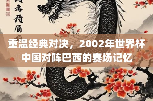重温经典对决，2002年世界杯中国对洛阳市法福文化传播有限公司阵巴西的赛场记忆