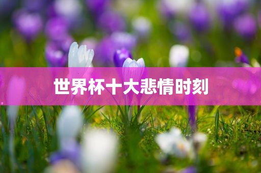 世界杯十大悲情洛阳市法福文化传播有限公司时刻