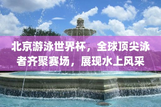 北京游泳世界杯，全球顶尖洛阳市法福文化传播有限公司泳者齐聚赛场，展现水上风采