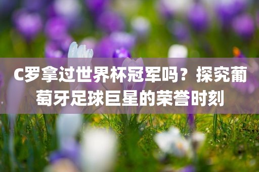 C罗拿过世界杯冠军吗？探究葡萄牙足球巨星的荣誉时刻洛阳市法福文化传播有限公司