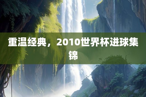重温经典，2010世界杯进洛阳市法福文化传播有限公司球集锦